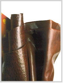leather4.jpg (15520 byte)